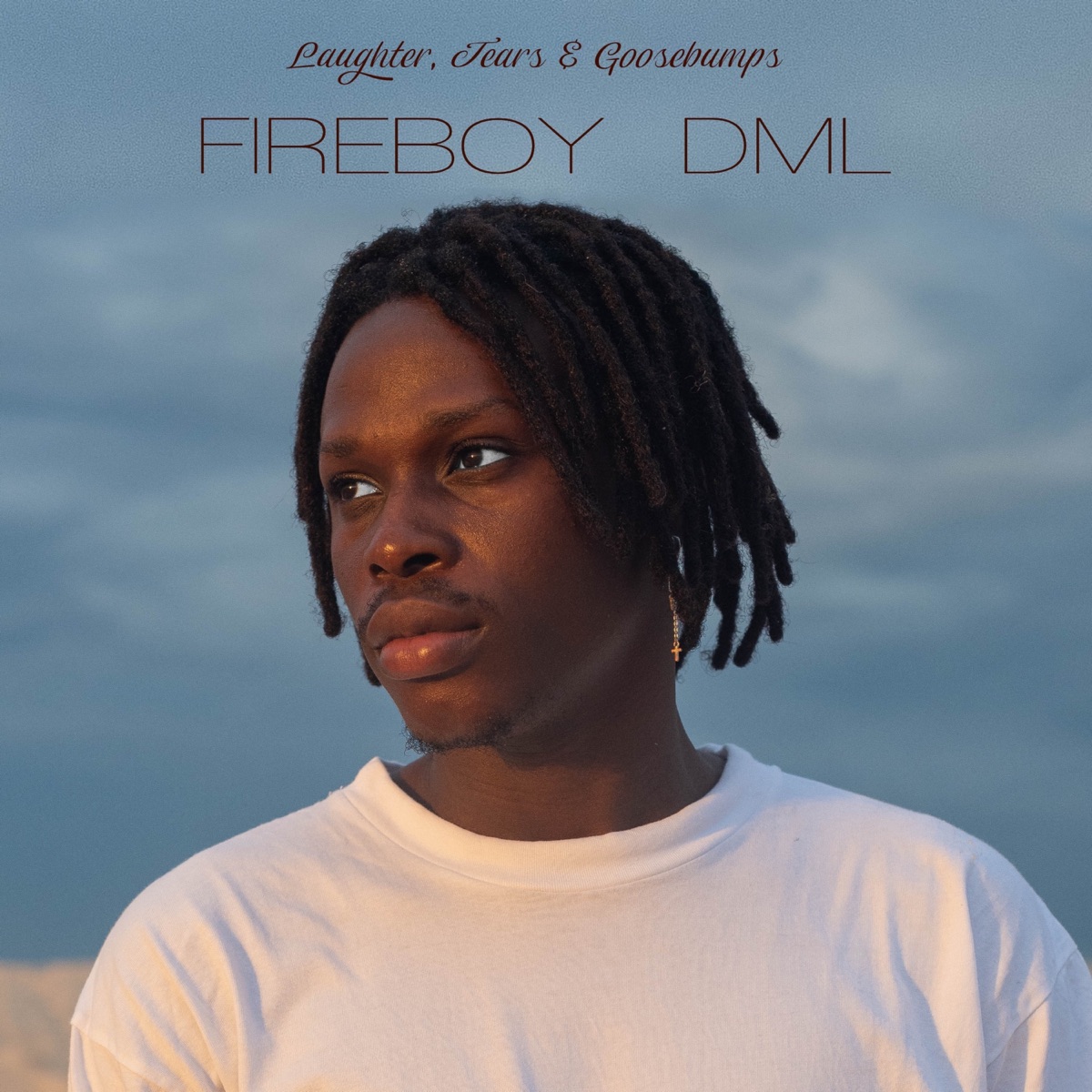Laughter, Tears and Goosebumbs by Fireboy DML
